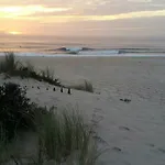 Wherry Apartamento Barra